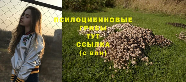сатива Алзамай