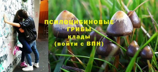 ешки Алексин